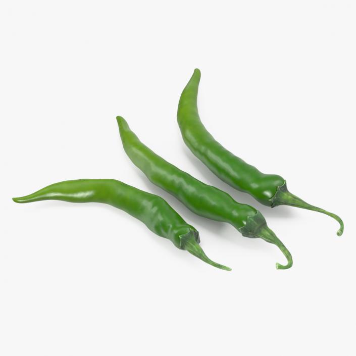 3D Green Chili Pepper model