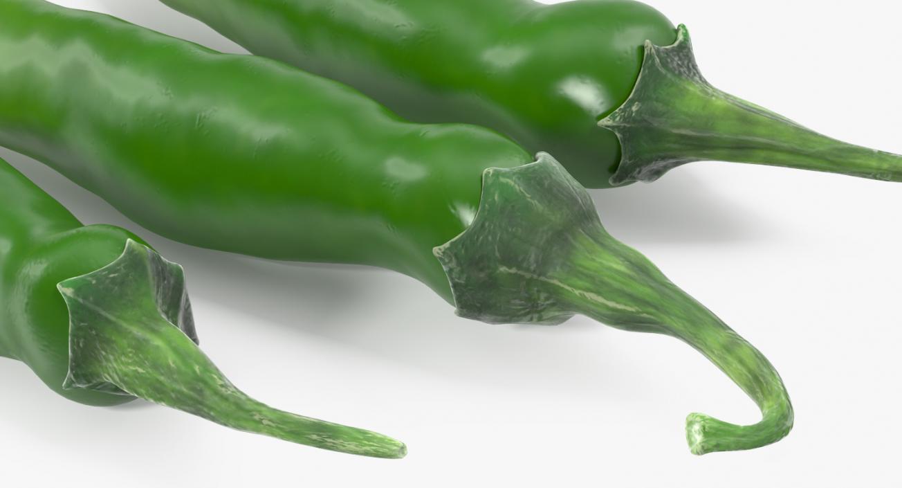 3D Green Chili Pepper model