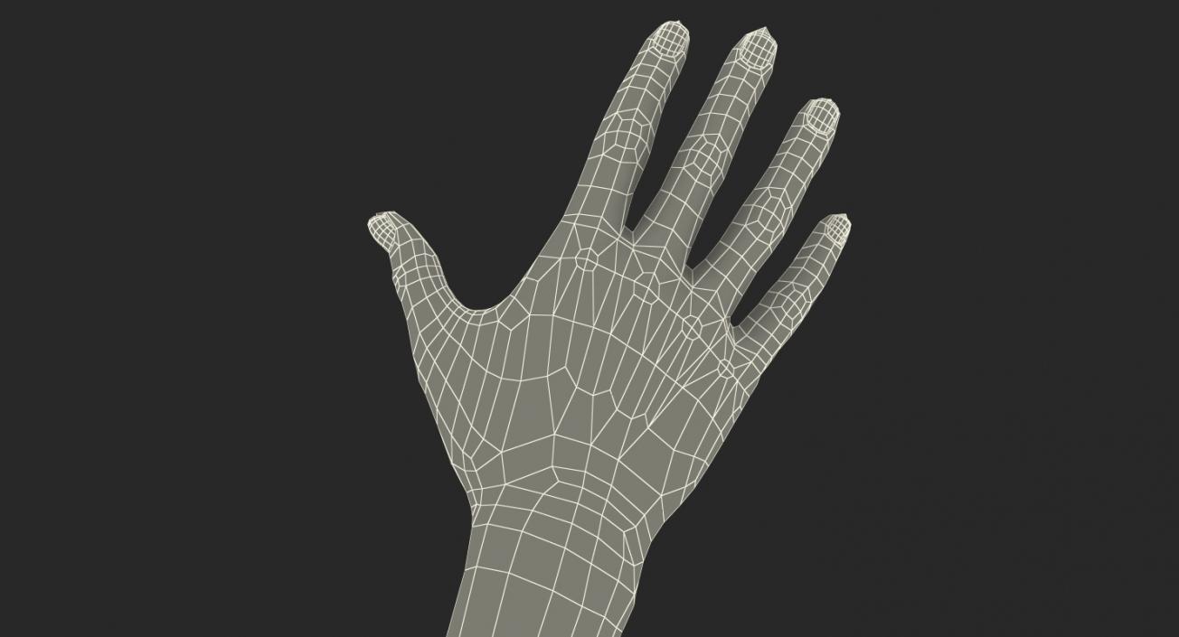 Asian/ Americas Female Hand Rigged 3D model