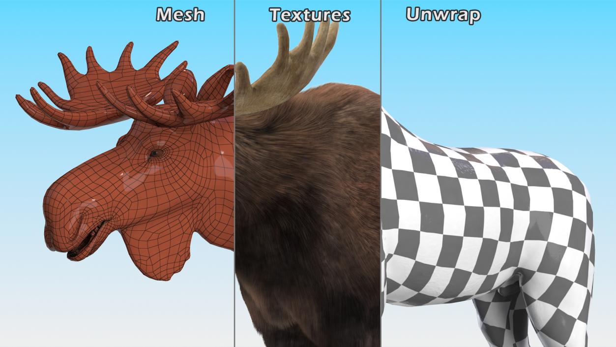 Bull Moose Fur 3D model