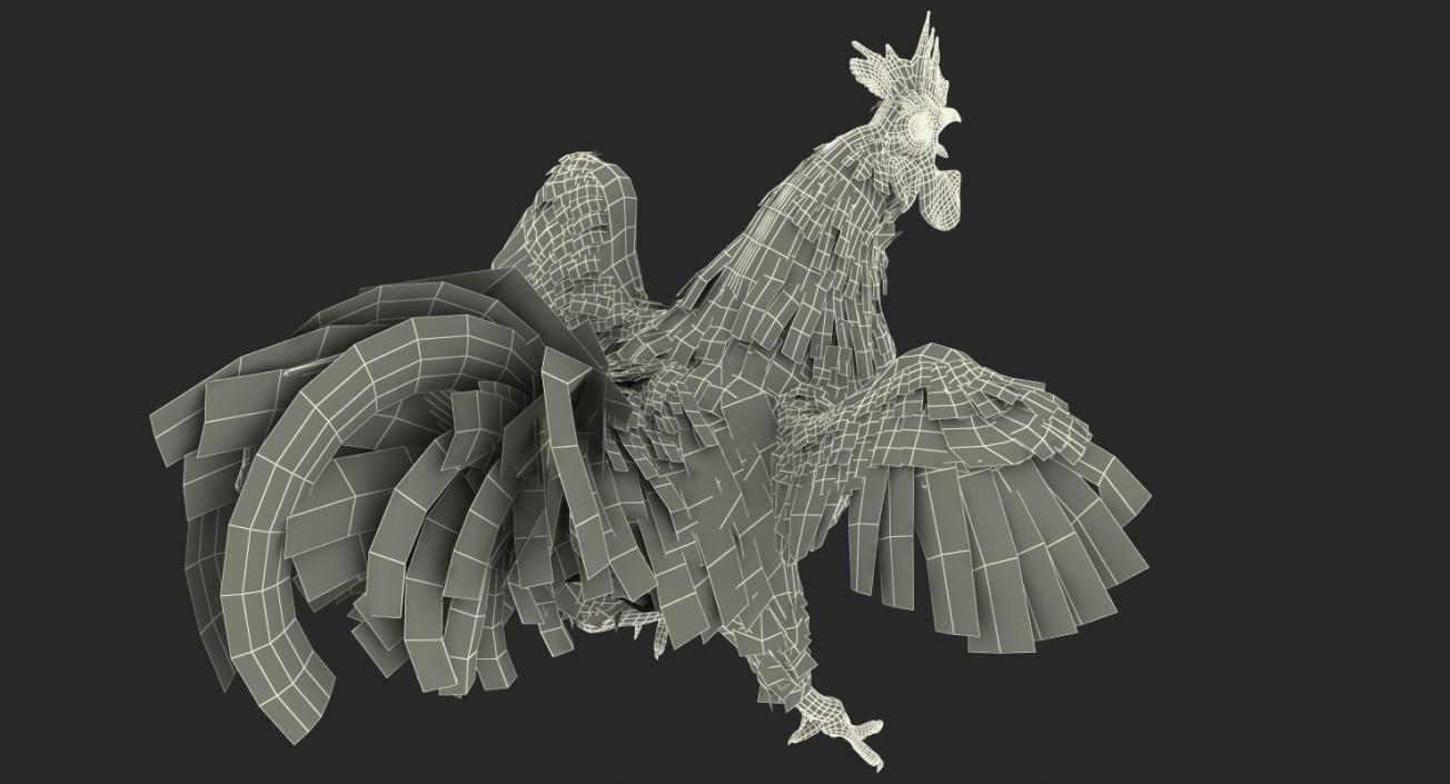 Cockfighting 3D