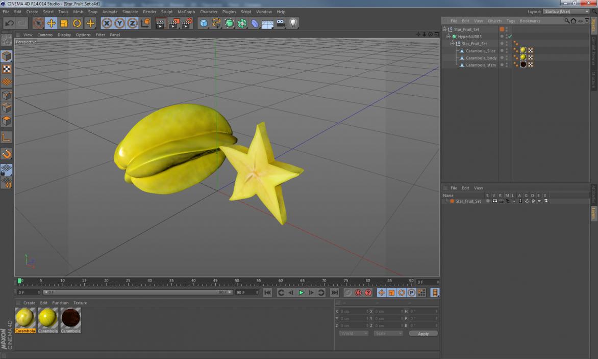Star Fruit Set 3D model