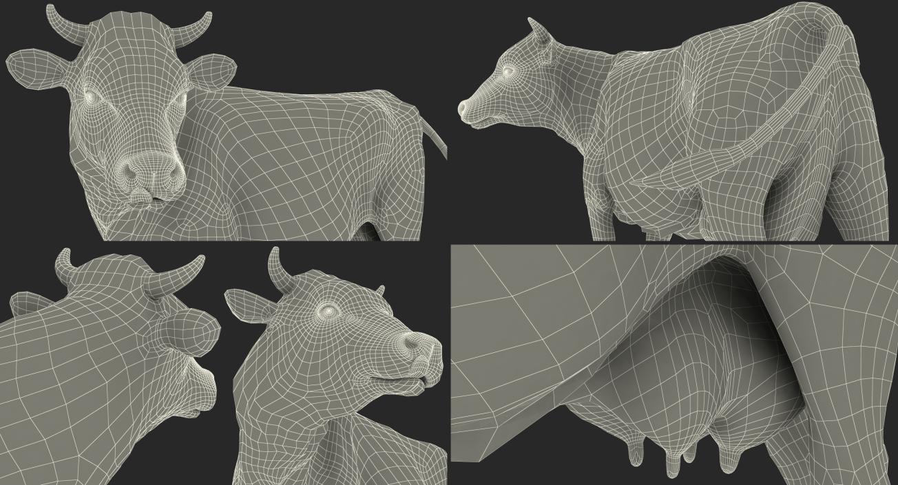 Red and White Cow 3D