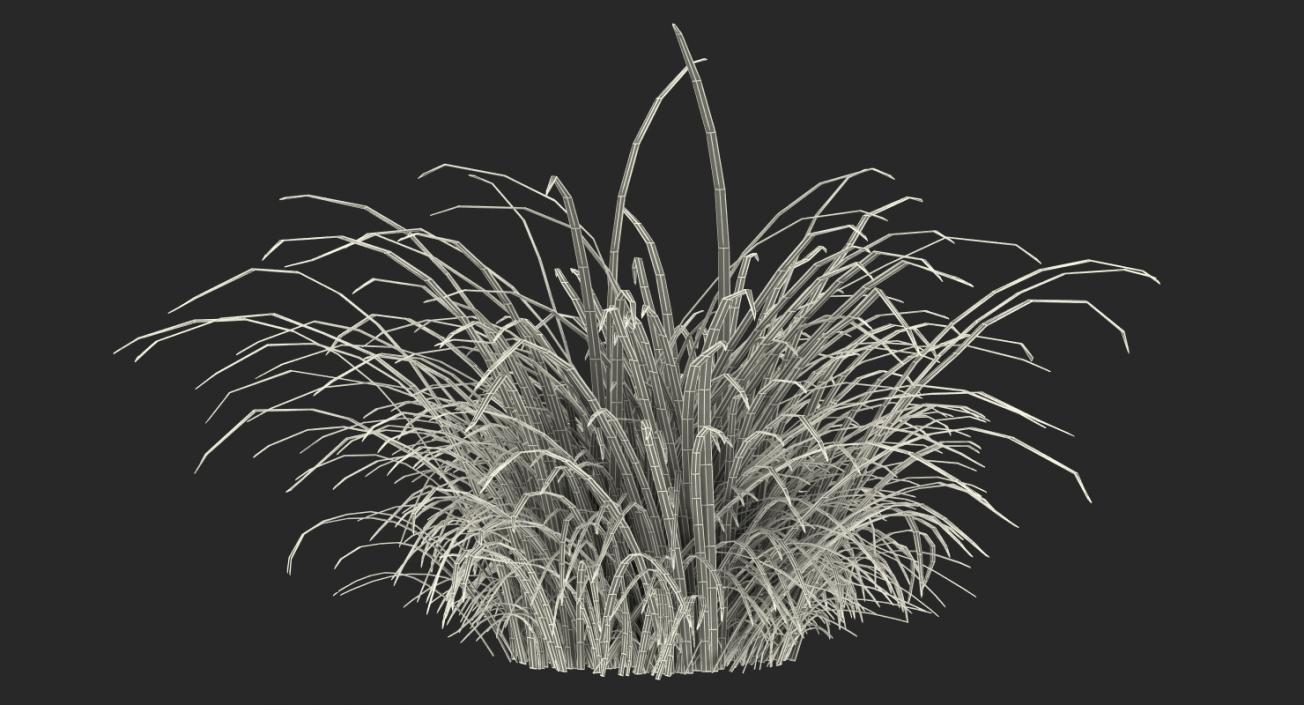 3D model Wild Tall Grass