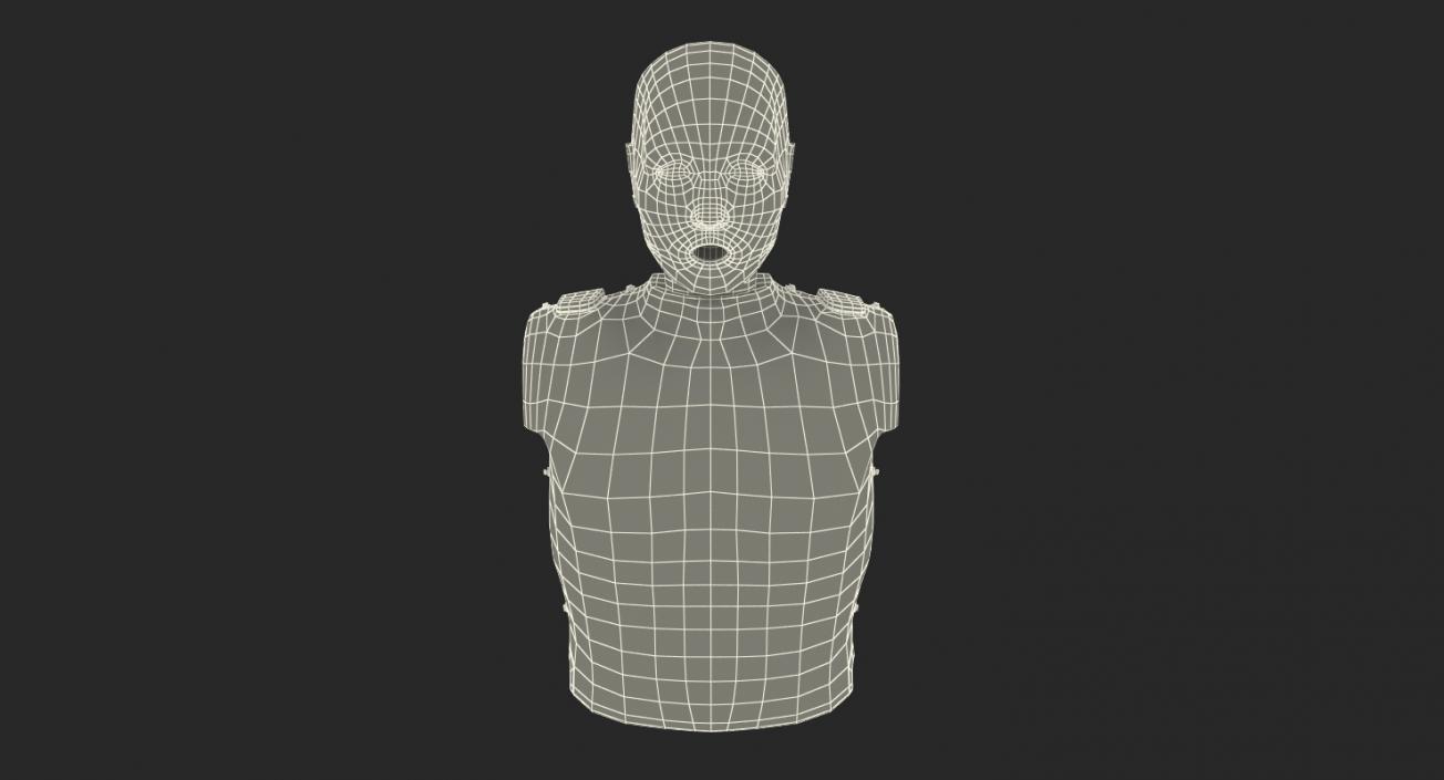Half Body First Aid Training Dummy 3D model