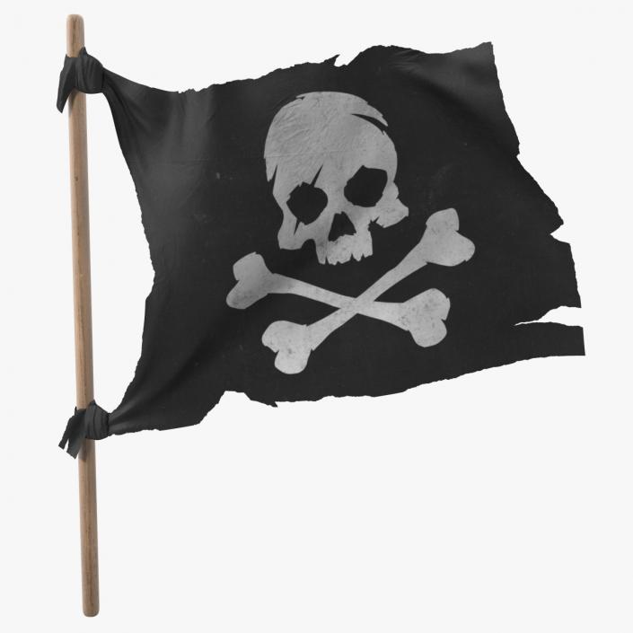 Pirate Skull and Bones Flag 3D
