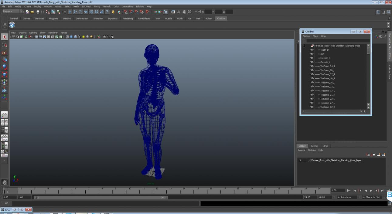 Female Body with Skeleton Standing Pose 3D model