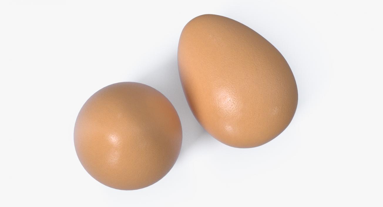 3D model Animal Egg