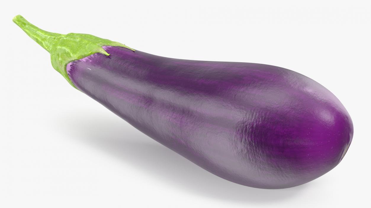 3D Solanum Melongena Eggplant