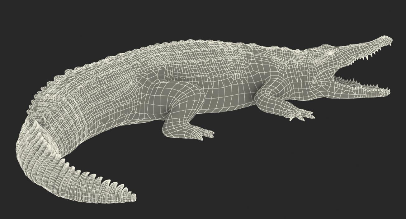 Crocodile Attacks Pose 2 3D model