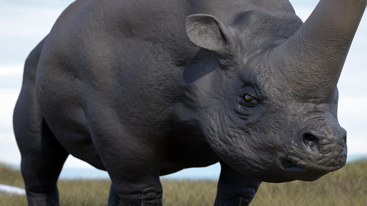 3D model Elasmotherium Rigged