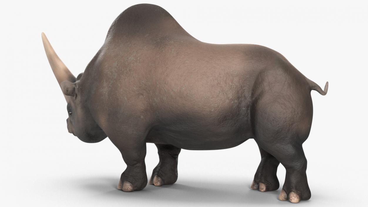 Elasmotherium Rigged for Cinema 4D 3D model