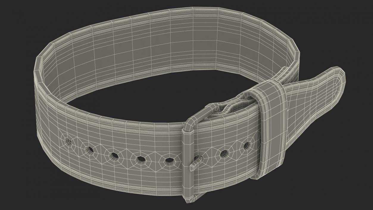 3D model Black Lifting Weight Belt