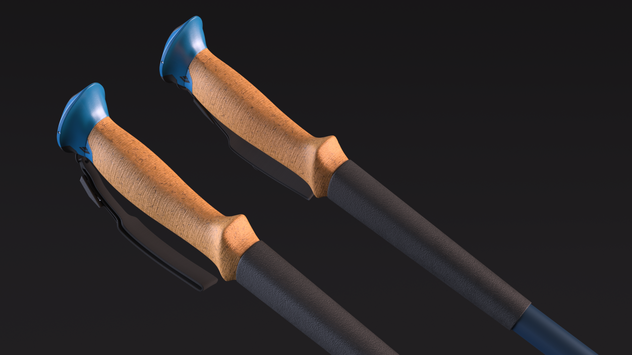3D model Idle Blue Black Diamond Carbon Trekking-Poles