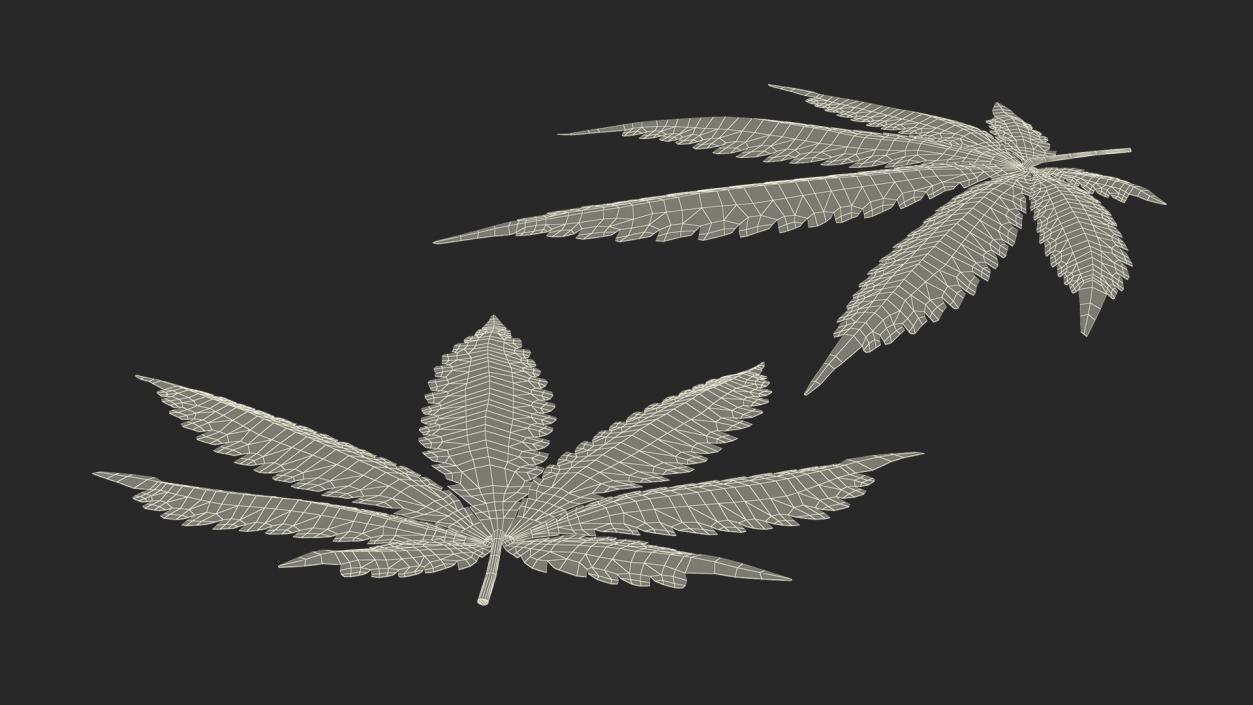 3D Cannabis Leaf model