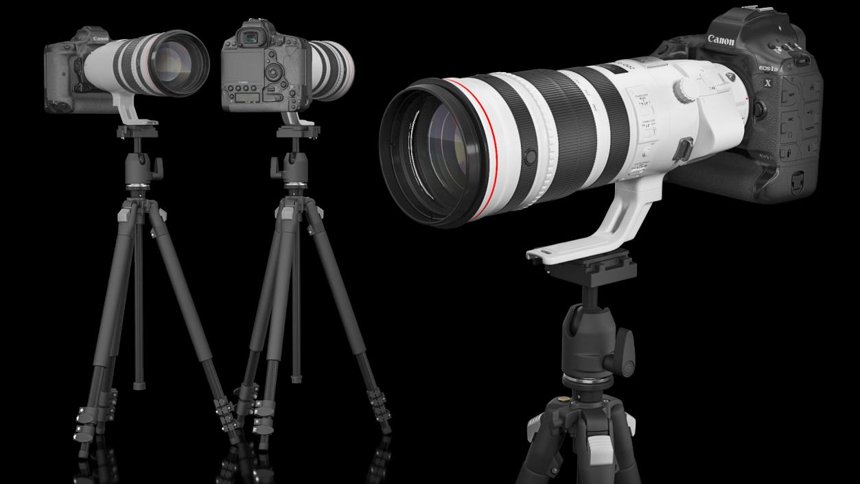 Canon EF 200 400mm Extender on Tripod 3D