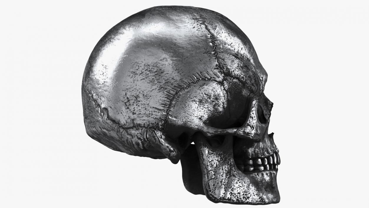 3D Male Skull Metal With Patina model