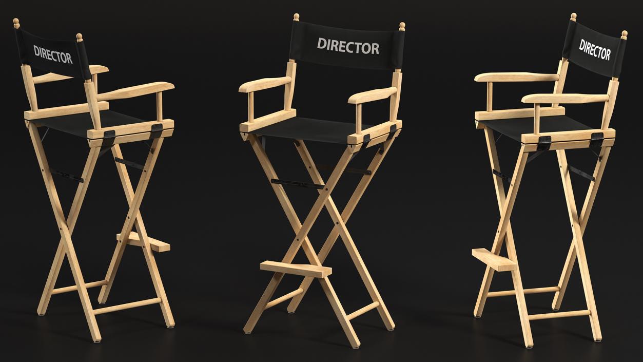 3D Movie Director on Tall Chair model