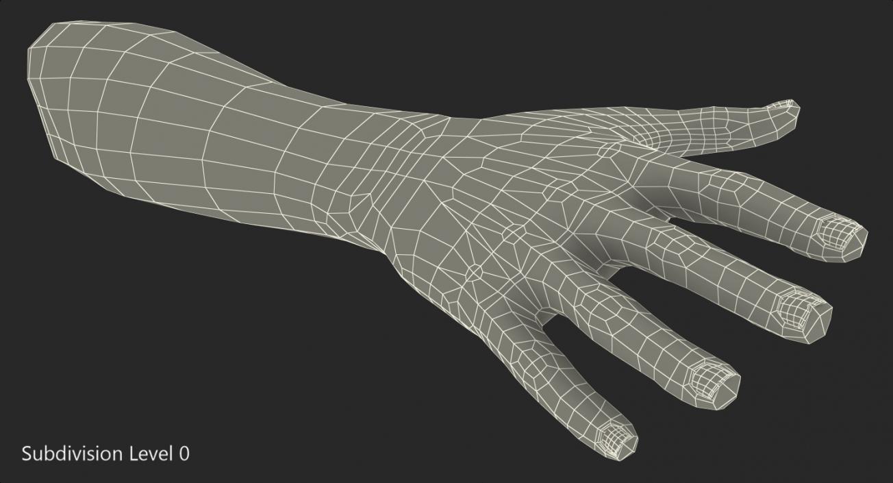 3D model Female Hand with Short Nails Rigged