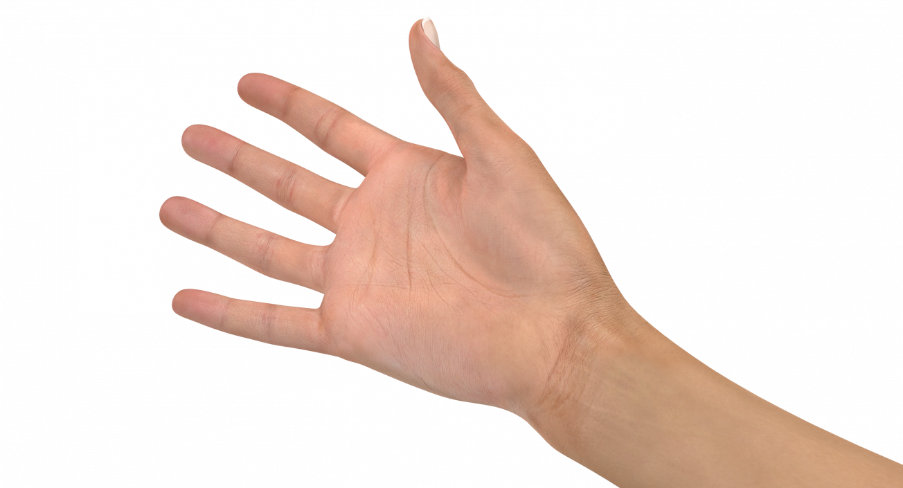 3D model Female Hand with Short Nails Rigged