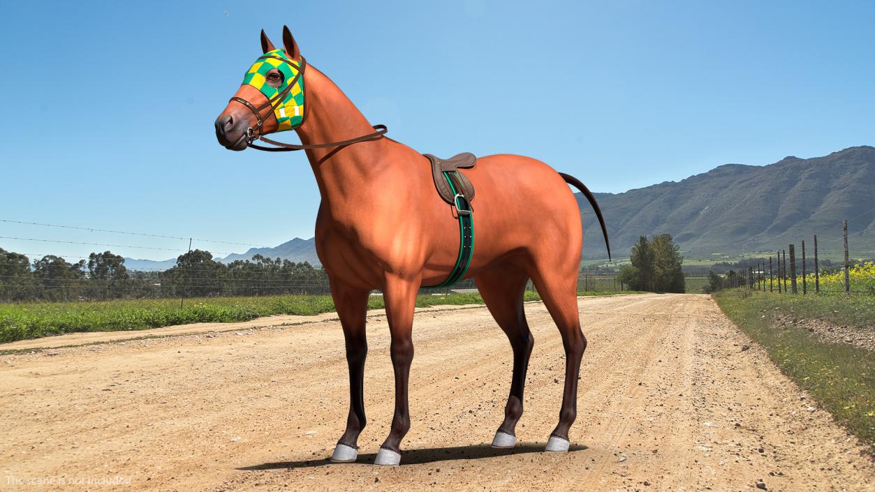 3D Bay Racehorse model