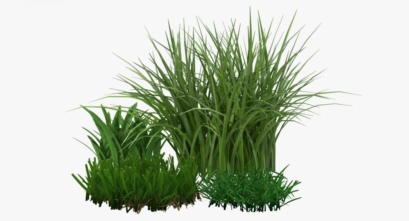 3D Grass Collection