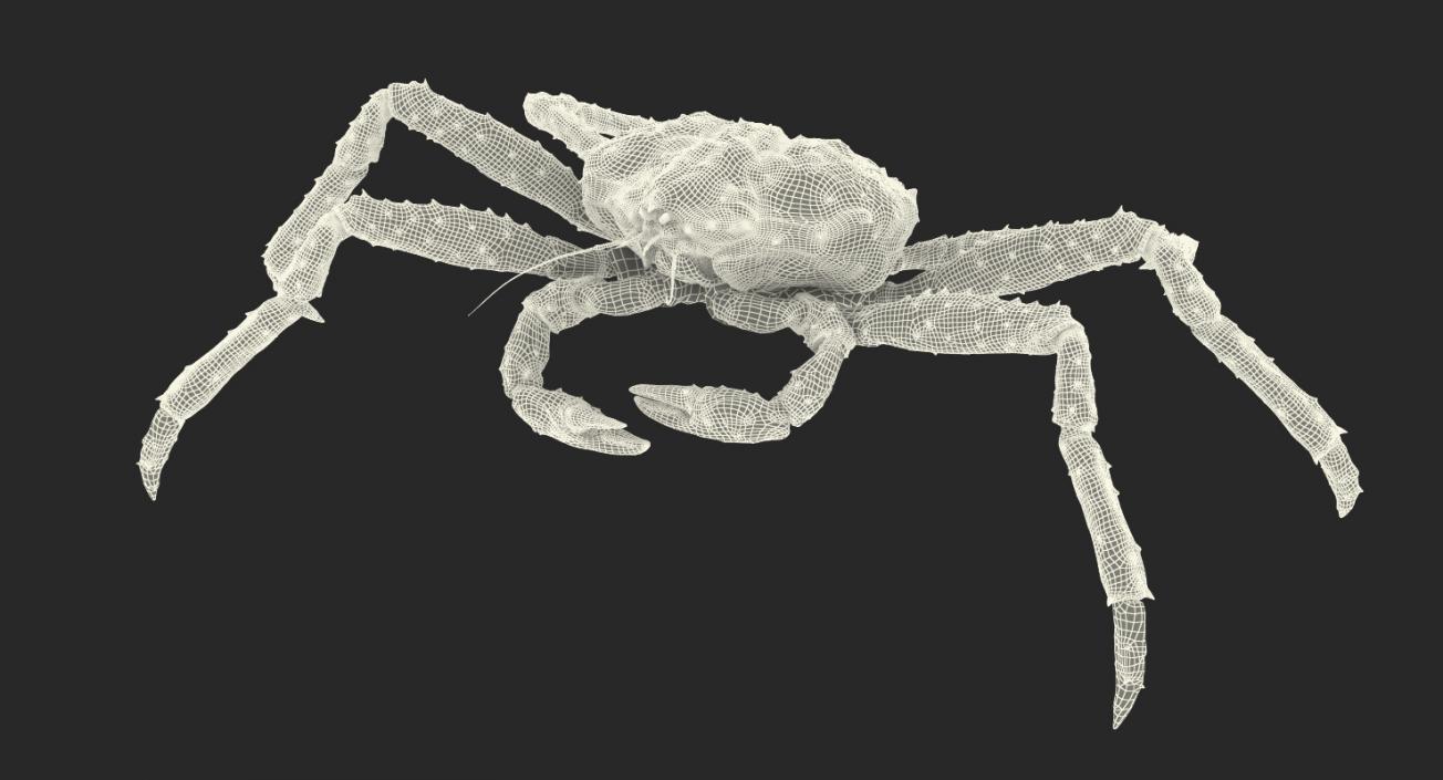 3D model Alaskan King Crab Walking Pose
