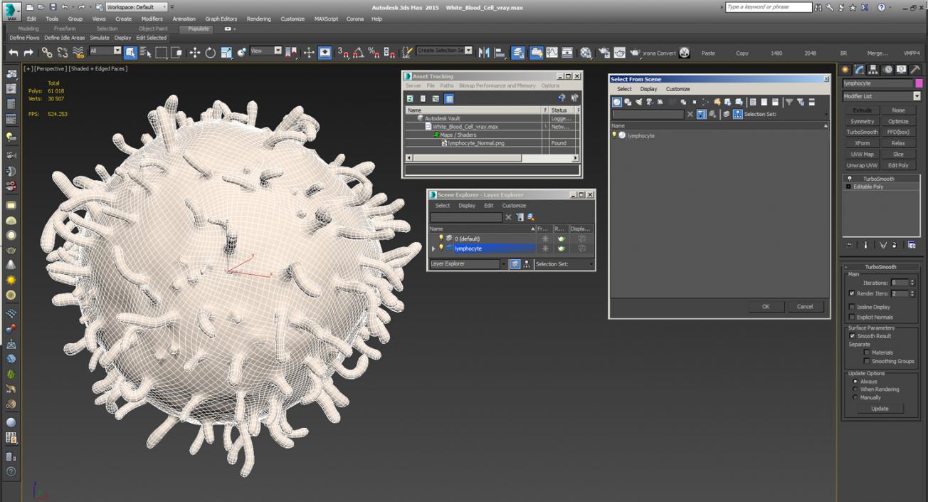 3D White Blood Cell