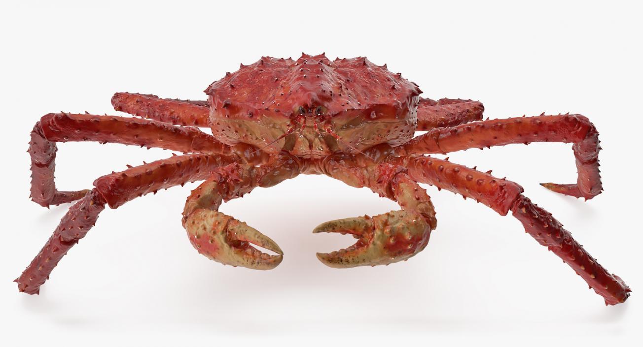 3D model Red King Crab Rigged