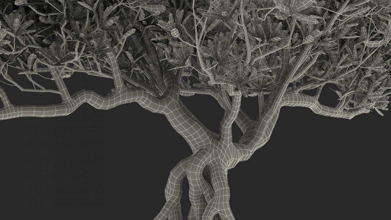 3D Miniature Bonsai Tree