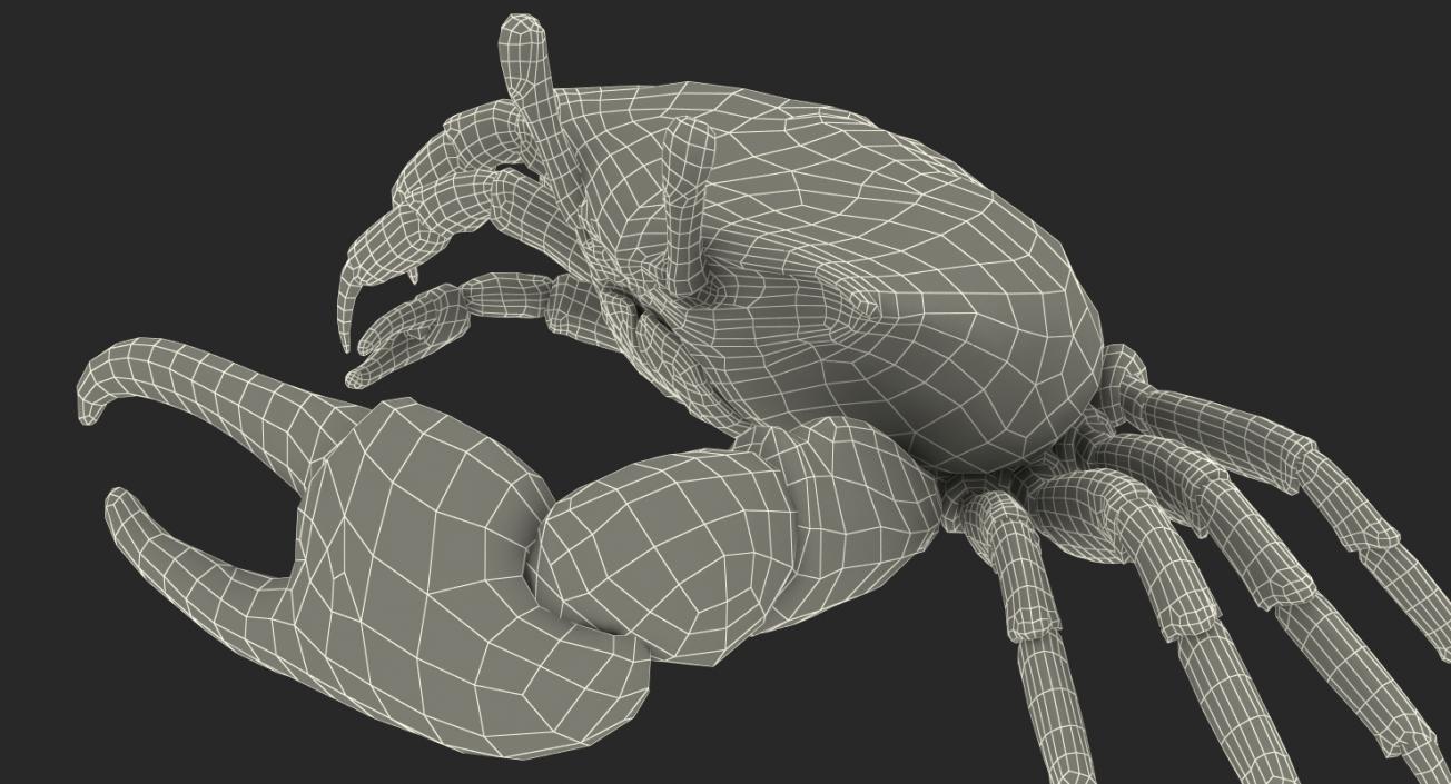 3D model Rigged Crabs Collection 3