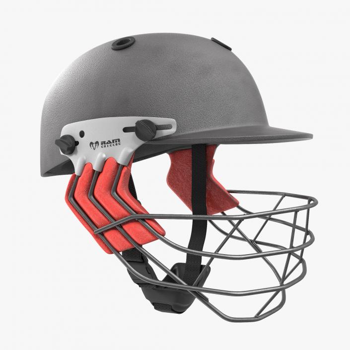 3D model Cricket Helmet Ram Protec
