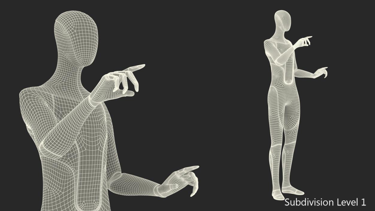3D model Robotic Humanoid Pointing Pose