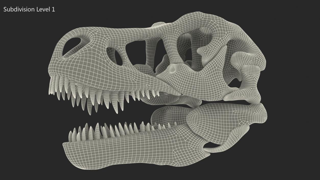 3D Tyrannosaurus Rex Skull model
