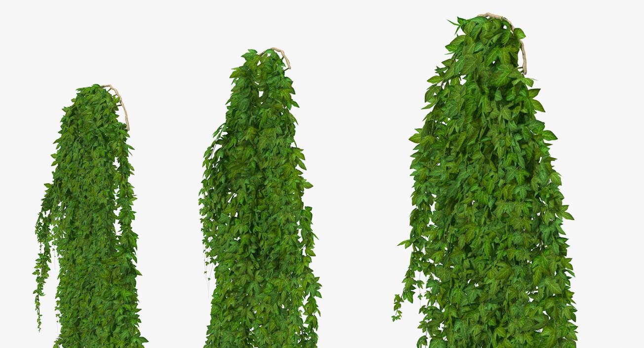Ivy Hanging Greenery Bushes 3D