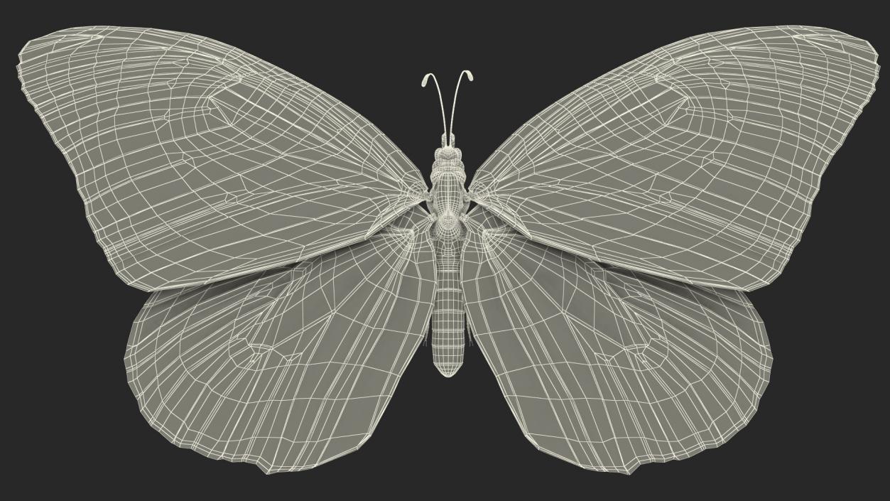 Animated Flying Monarch Butterfly Fur Rigged 3D model