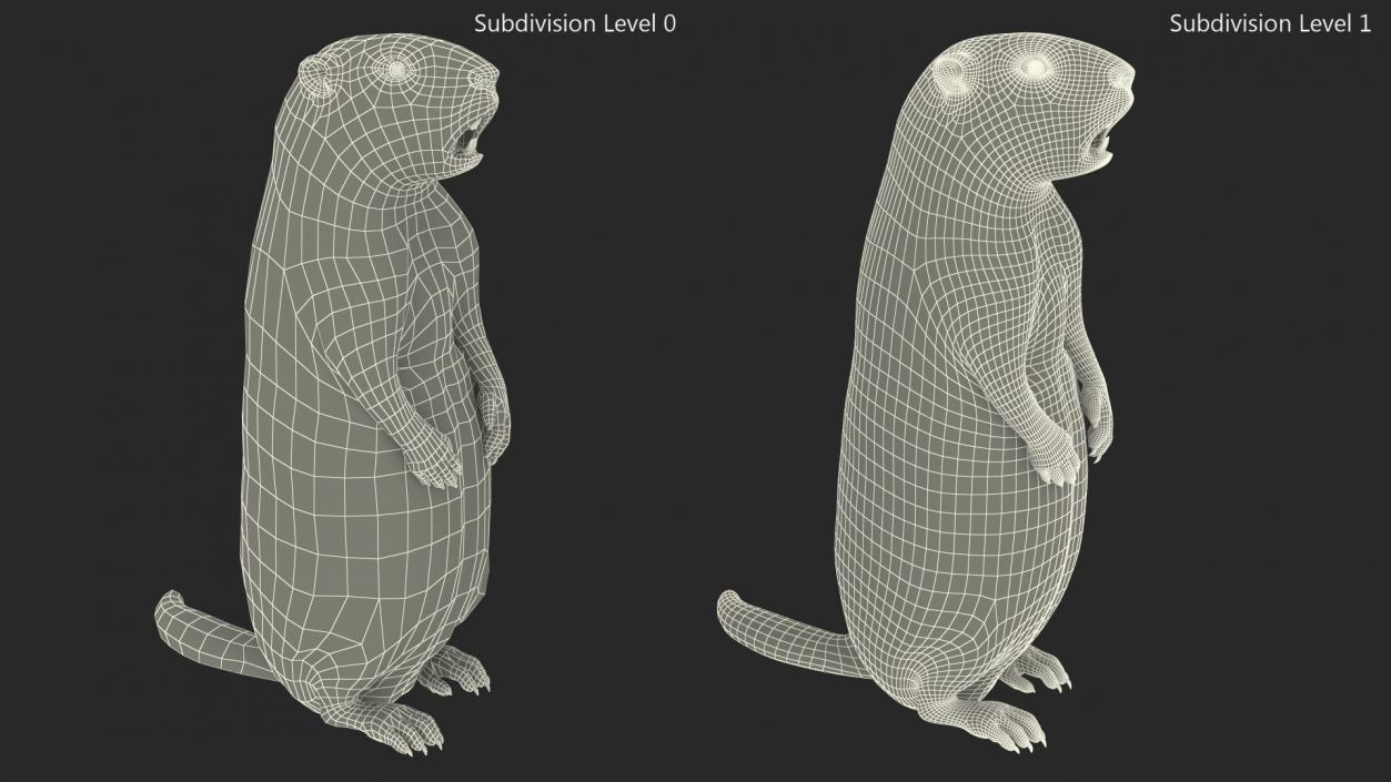 3D model Groundhog Standing on Hind Legs Fur