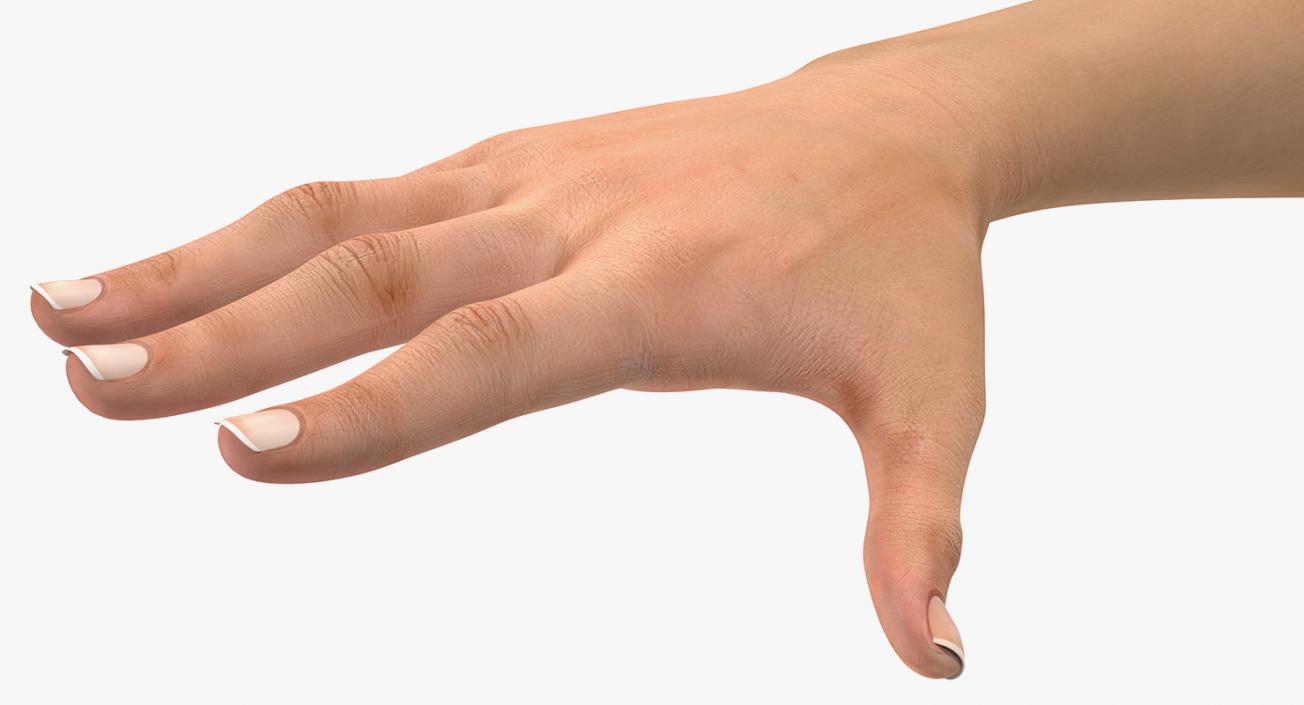 Female Arm with Short Nails 3D