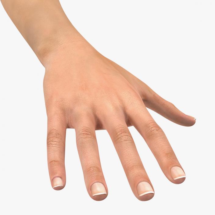 Female Arm with Short Nails 3D