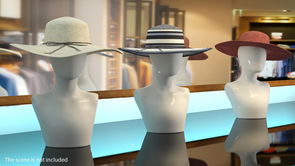 Women Floppy Straw Hat 3D