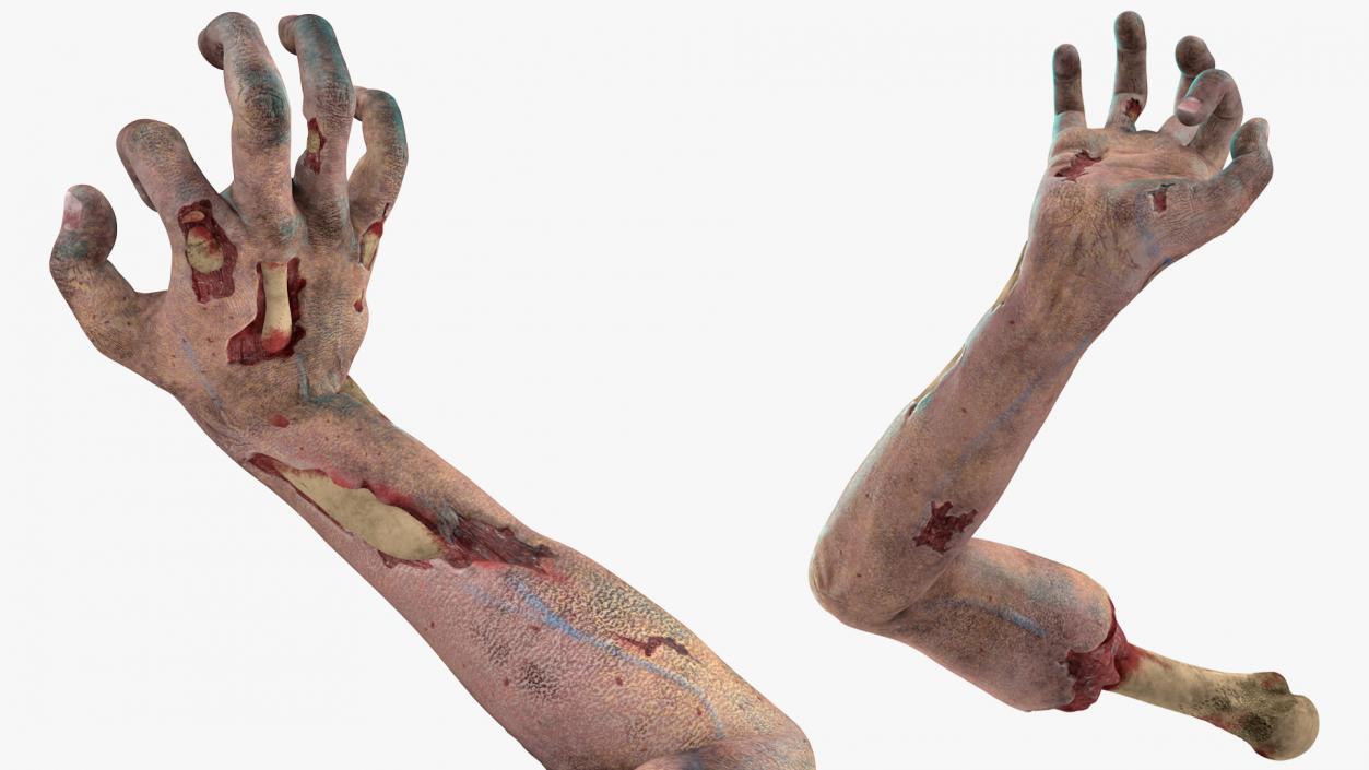 3D Zombie Arms Attack Pose model