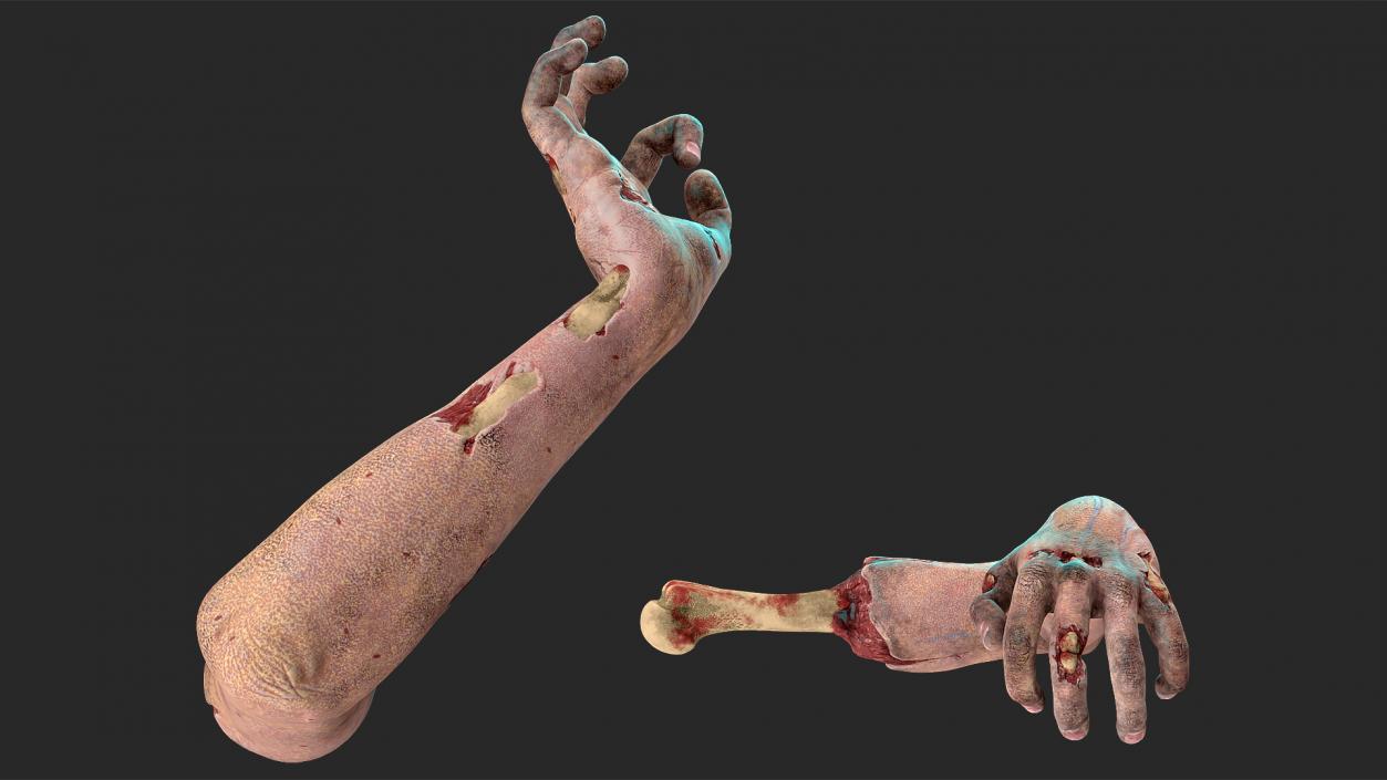 3D Zombie Arms Attack Pose model