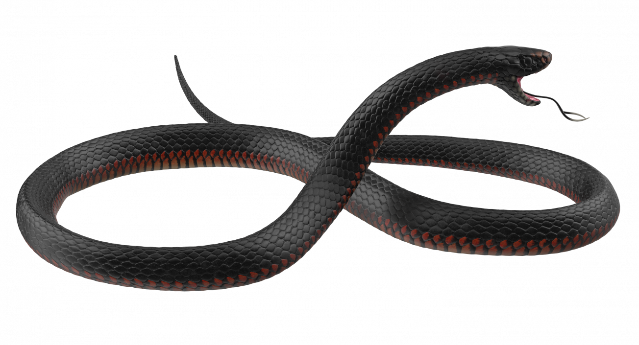California King Snake Black 3D