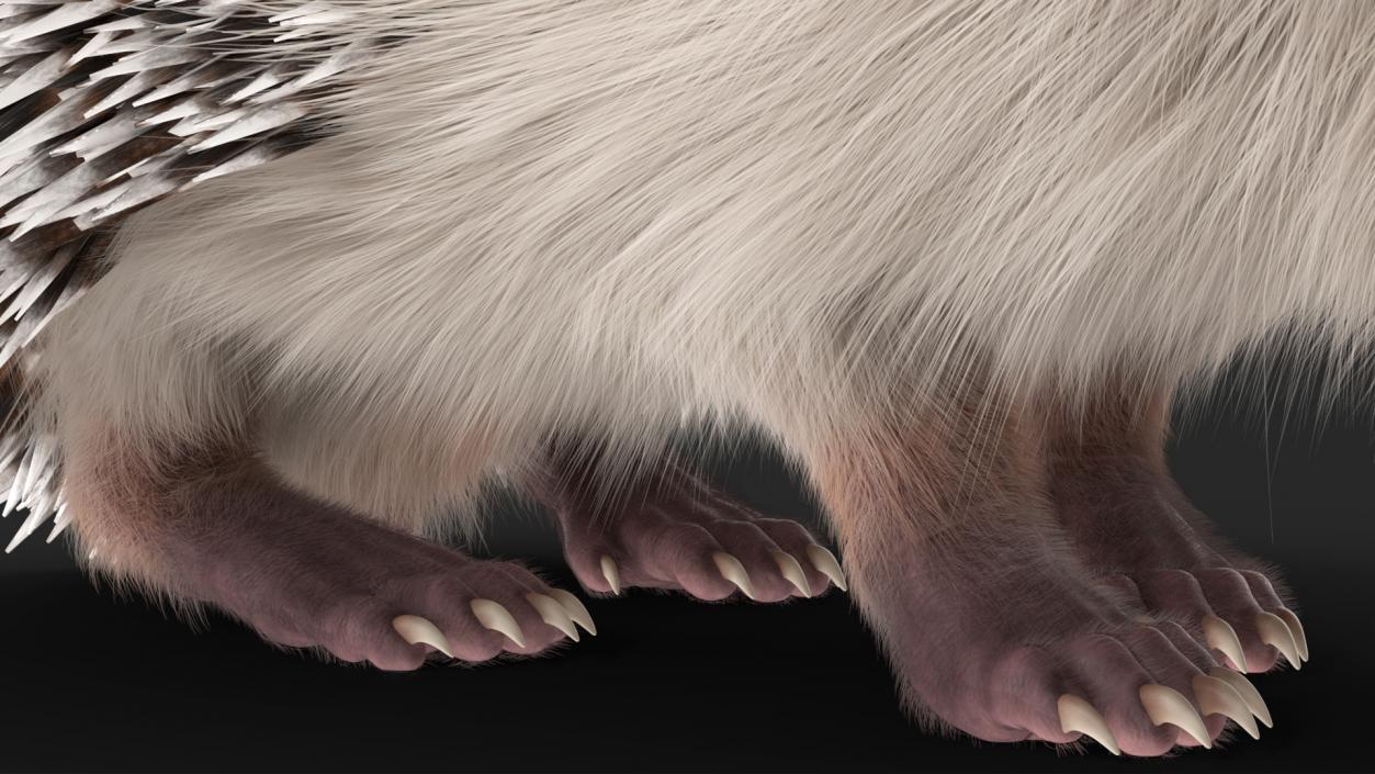 White Standing Hedgehog Fur 3D