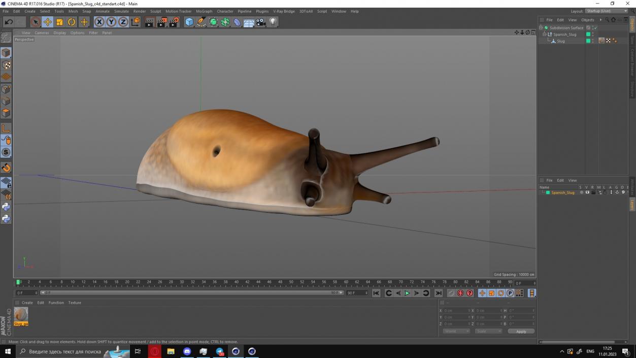 Spanish Slug 3D