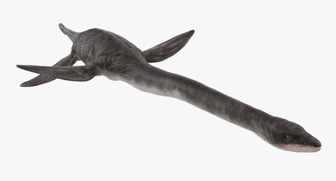 3D model Dinosaur Plesiosauria Swimming Pose