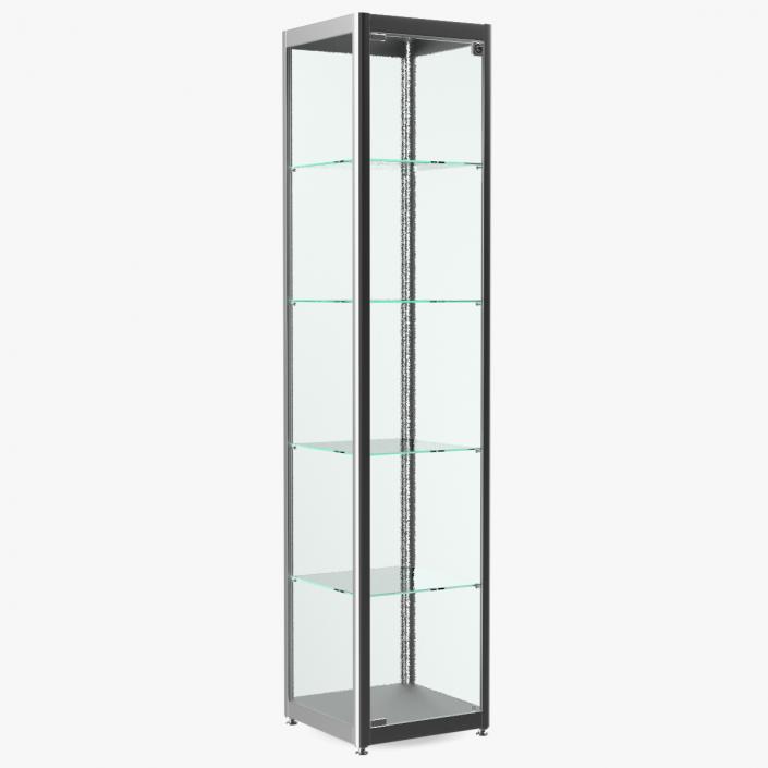 Glass Display Case Narrow Silver 3D