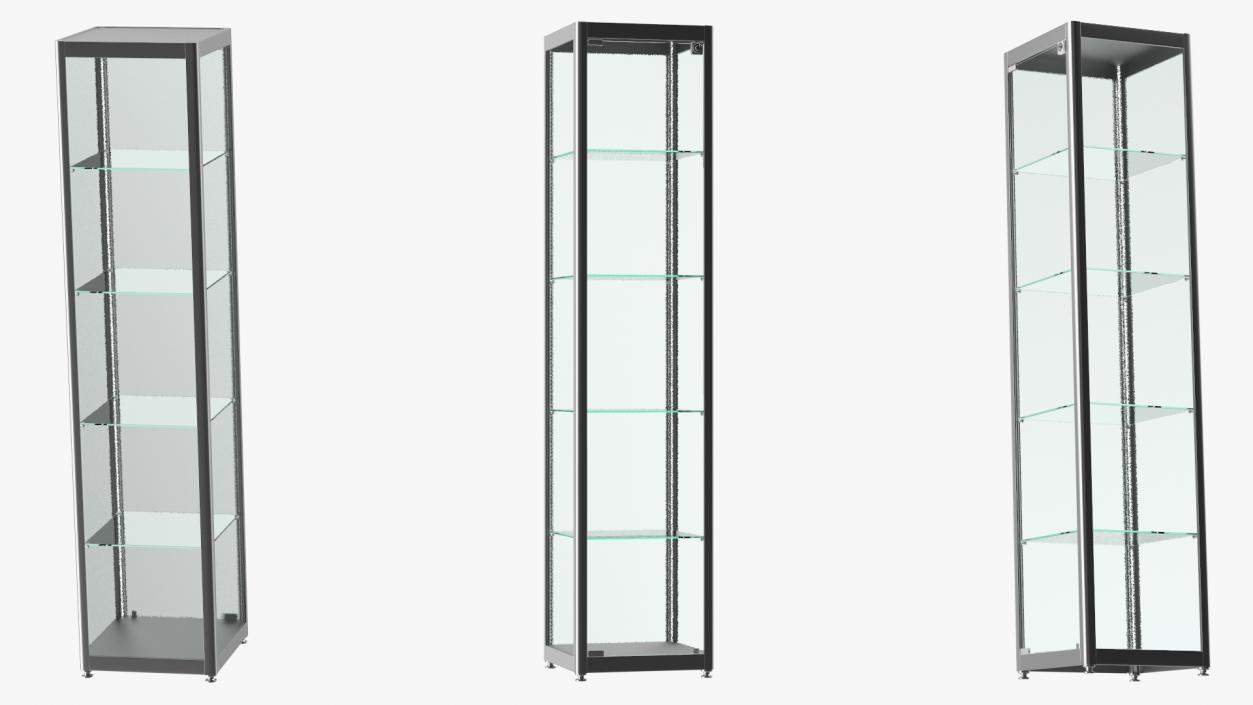 Glass Display Case Narrow Silver 3D