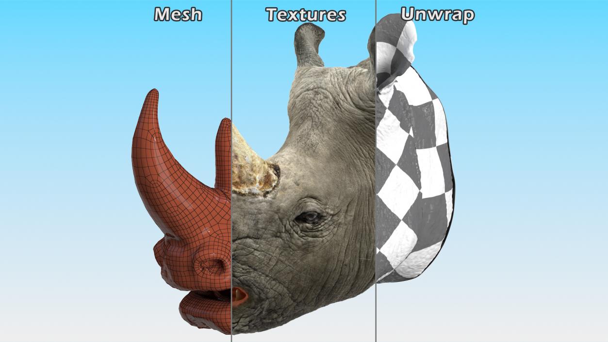 3D model Rhino Head