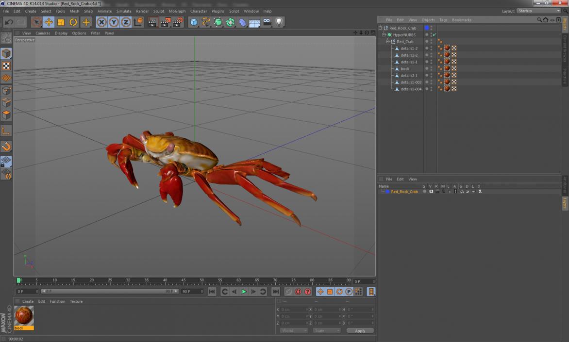 3D Red Rock Crab model